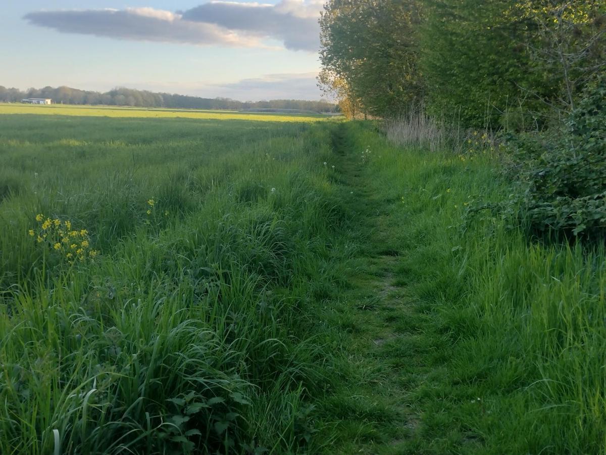 Tuinhuisje In Het Groen 阿尔梅勒 外观 照片