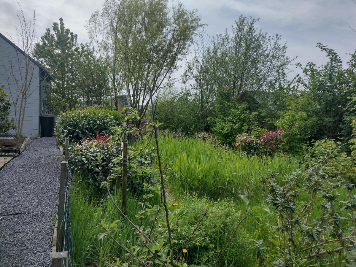 Tuinhuisje In Het Groen 阿尔梅勒 外观 照片