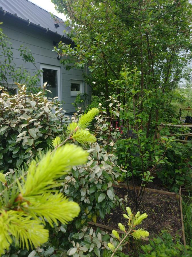 Tuinhuisje In Het Groen 阿尔梅勒 外观 照片