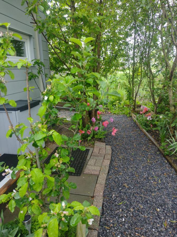 Tuinhuisje In Het Groen 阿尔梅勒 外观 照片