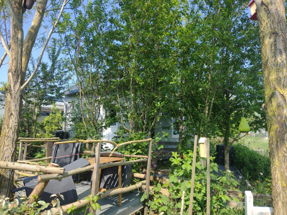 Tuinhuisje In Het Groen 阿尔梅勒 外观 照片