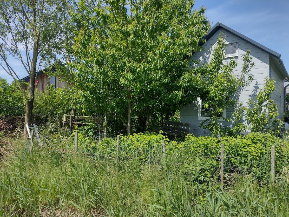Tuinhuisje In Het Groen 阿尔梅勒 外观 照片