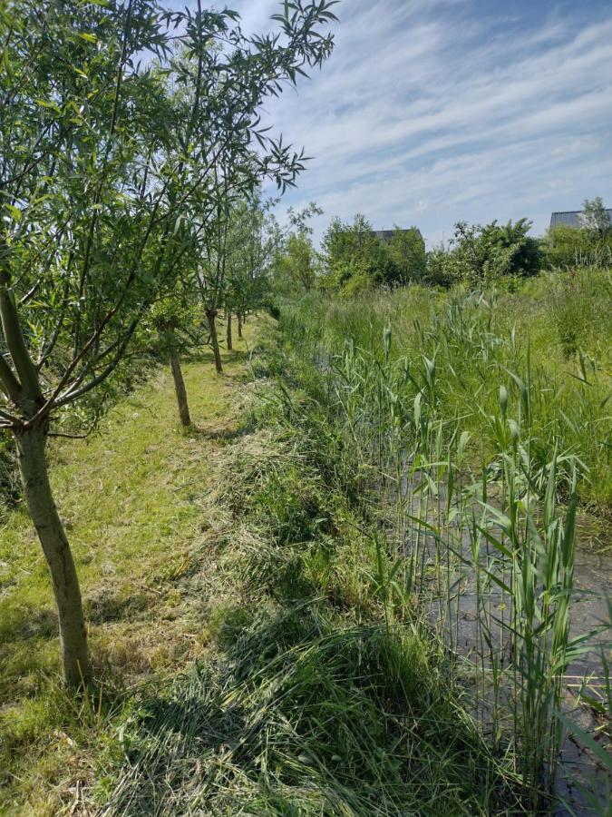 Tuinhuisje In Het Groen 阿尔梅勒 外观 照片